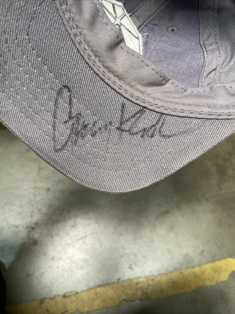 Rogue hat was